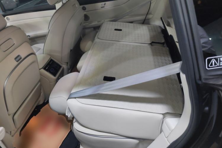 Used Hima S9T 2025 Model Range-Extended Max Left Rear Seat