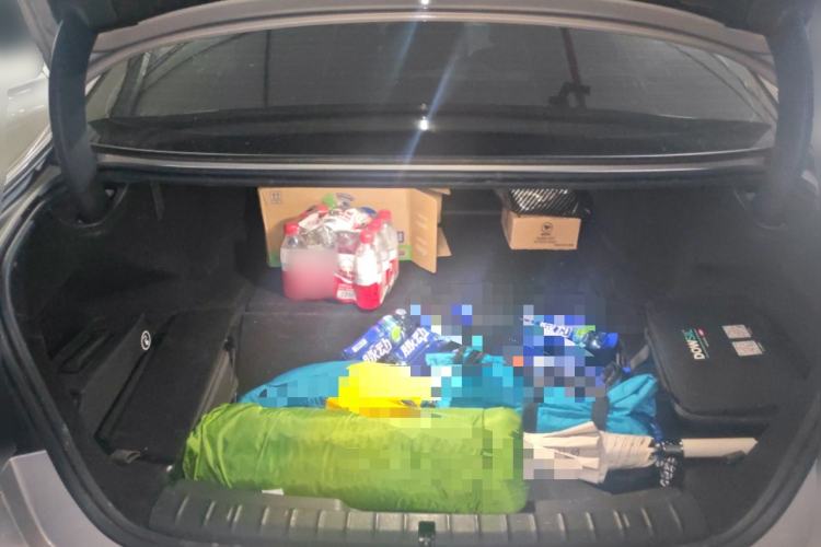 Used BMW 5 Series New Energy 2019 Updated Version 530Le Luxury Package