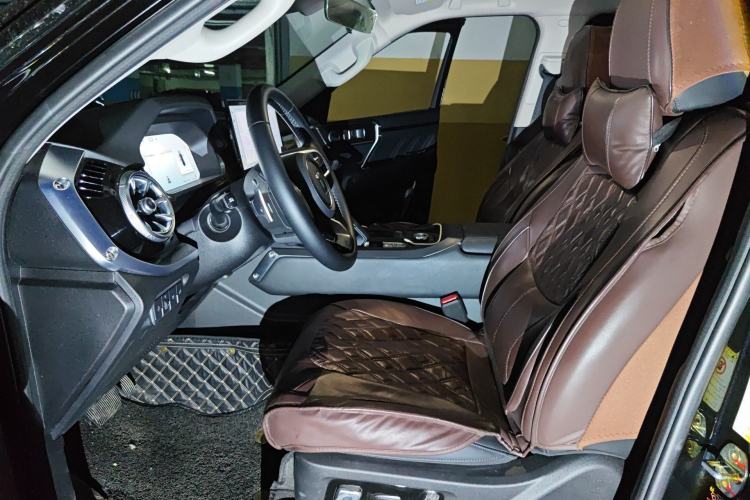 Used Tank 400 2025 2.0T Gasoline Version
