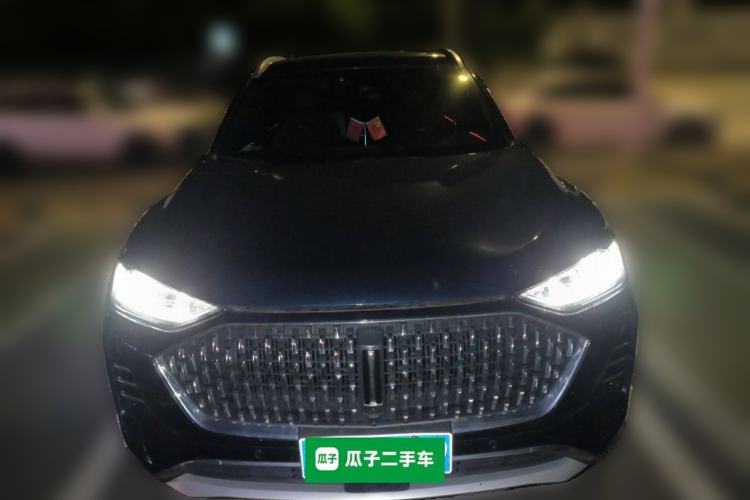 Used Wey Mocha 2021 2.0T Four-Wheel Drive Premium Edition
