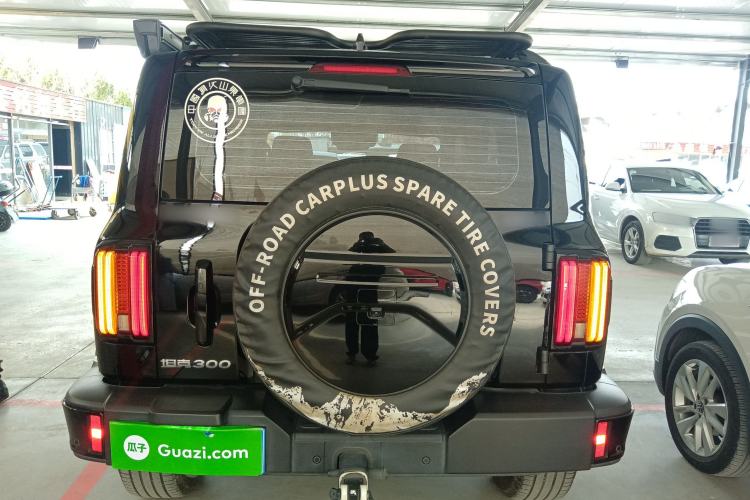 Used Tank 300 2024 2.0T Crosser
