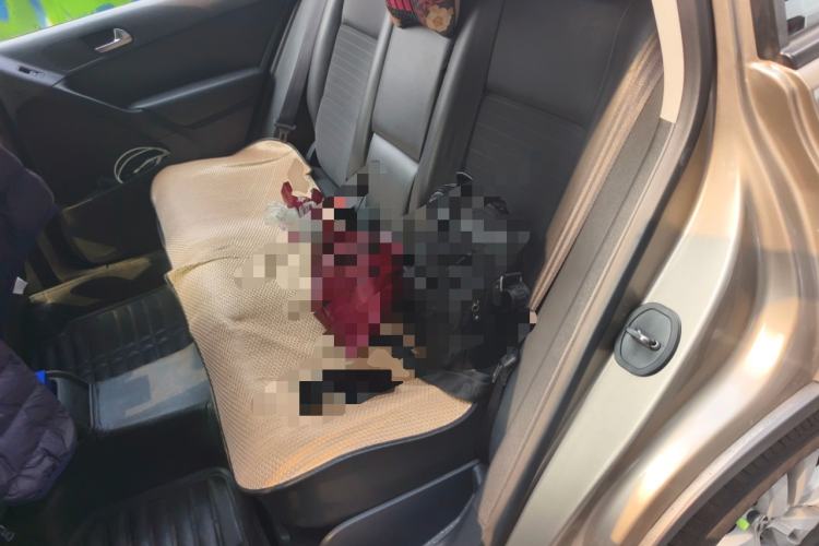 Used Volkswagen Tiguan 2013 1.8TSI Automatic Two-Wheel Drive Trend Edition Left Rear Seat