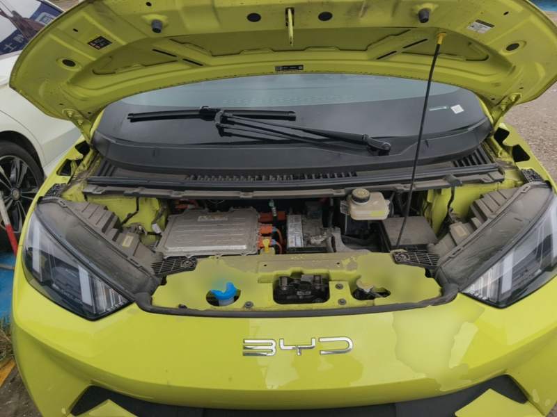 Used BYD Seagull 2023 Free Edition — 19