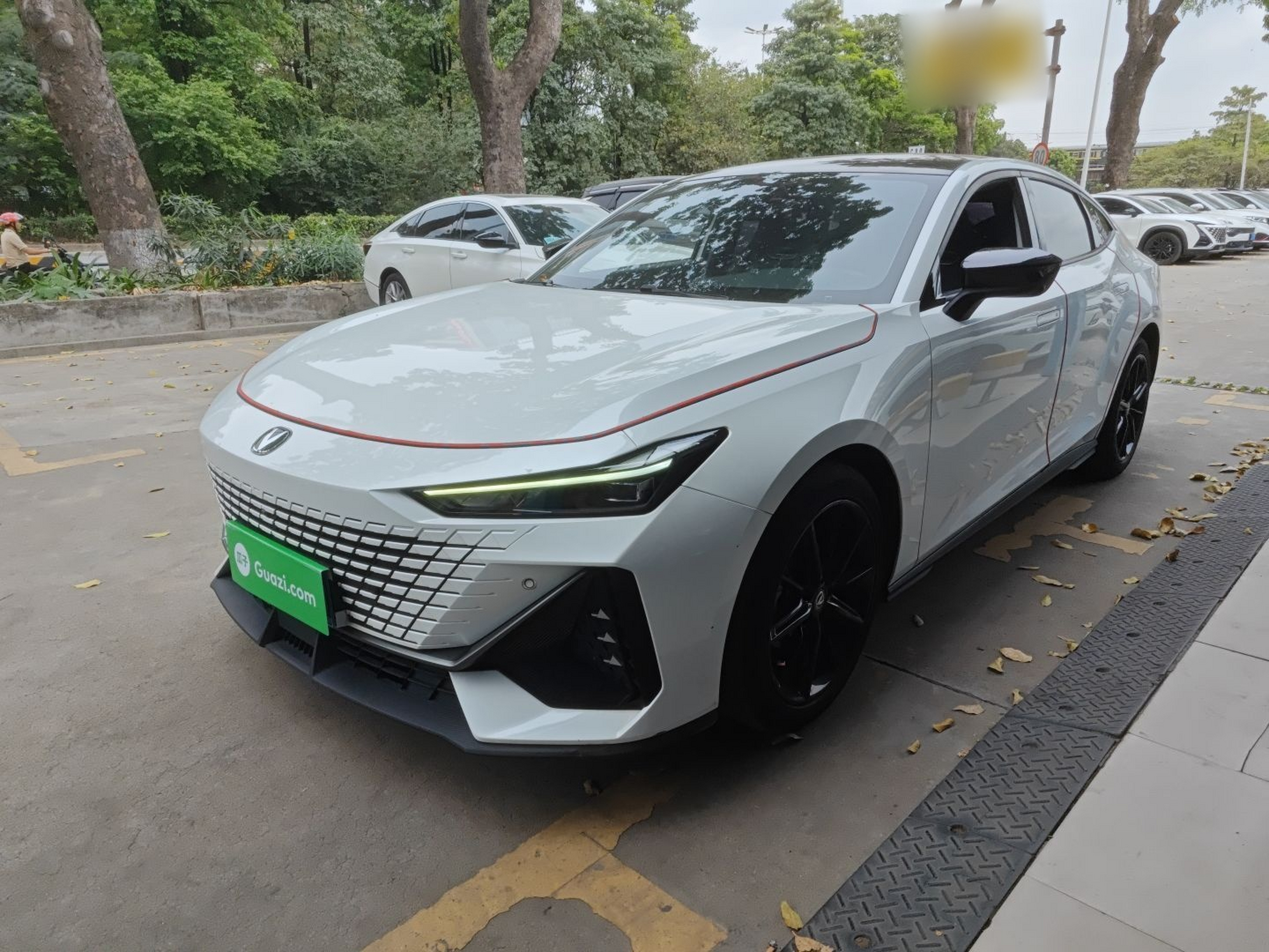 Parte inferior delantera