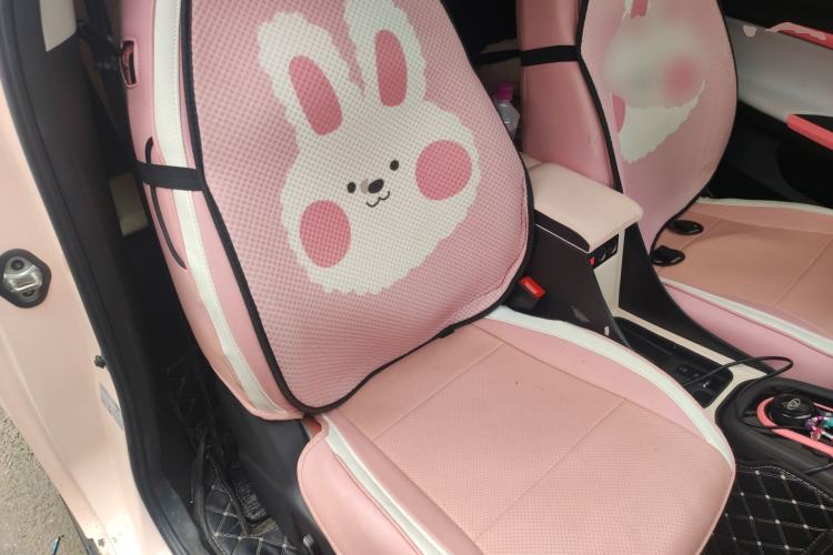 Used Chery QQ Little Ant 2022 Sweet Pink Edition Half-Sugar Version Lithium Iron Phosphate 30 kW 301 km