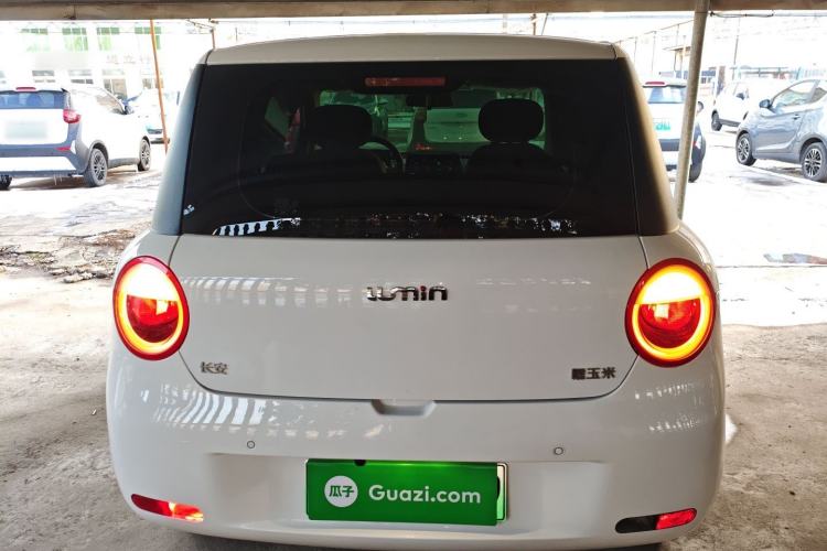 Used Qiyuan Lumin 2024 130km Qingyue Version