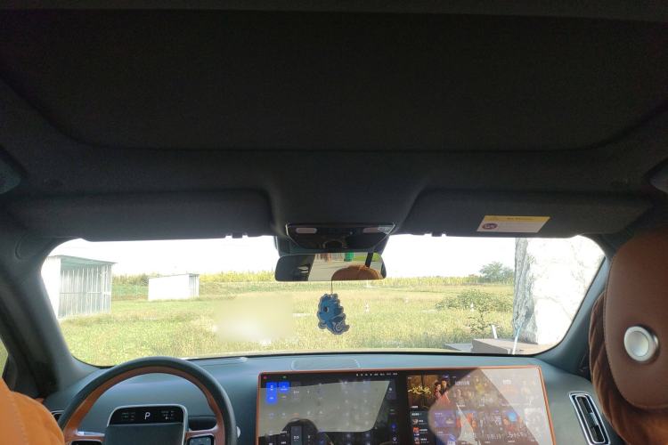 Used Li Auto L9 2023 Pro Model Headliner