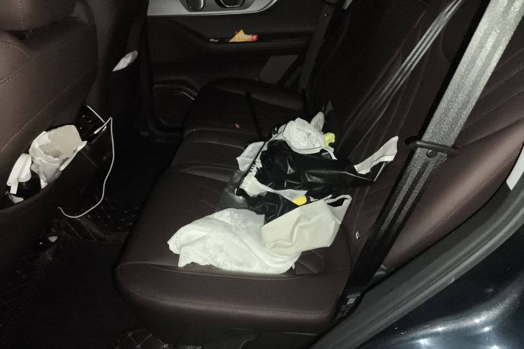 Used Chery Tiggo 8 PLUS 2024 Champion Edition 390TGDI DCT Bold Edition 5-Seater Left Rear Seat