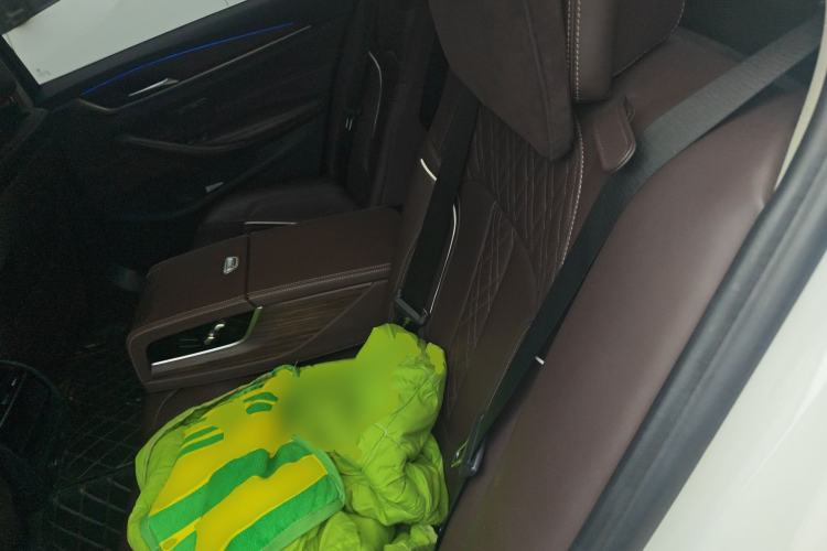 Used BMW 5 Series 2019 Facelifted 530Li Leading Edition Luxury Package
