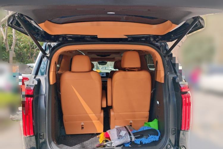 Used Wey Gaoshan 2023 Four-Wheel-Drive Executive Extended Version Trunk