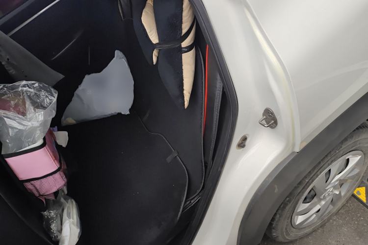 Used Venucia e30 2020 Elite Edition
