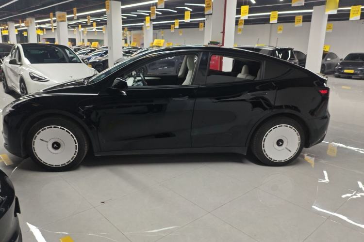 Used Tesla Model Y 2021 Standard Range Rear-Wheel Drive Version
