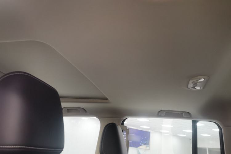 Used Tank 300 2021 2.0T Monet Tribute Limited Edition Headliner