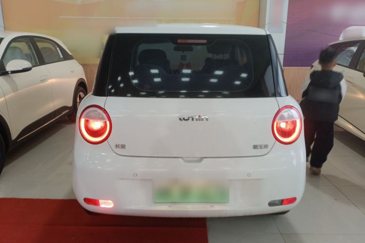Used Qiyuan Lumin 2022 210km Sweet Edition
