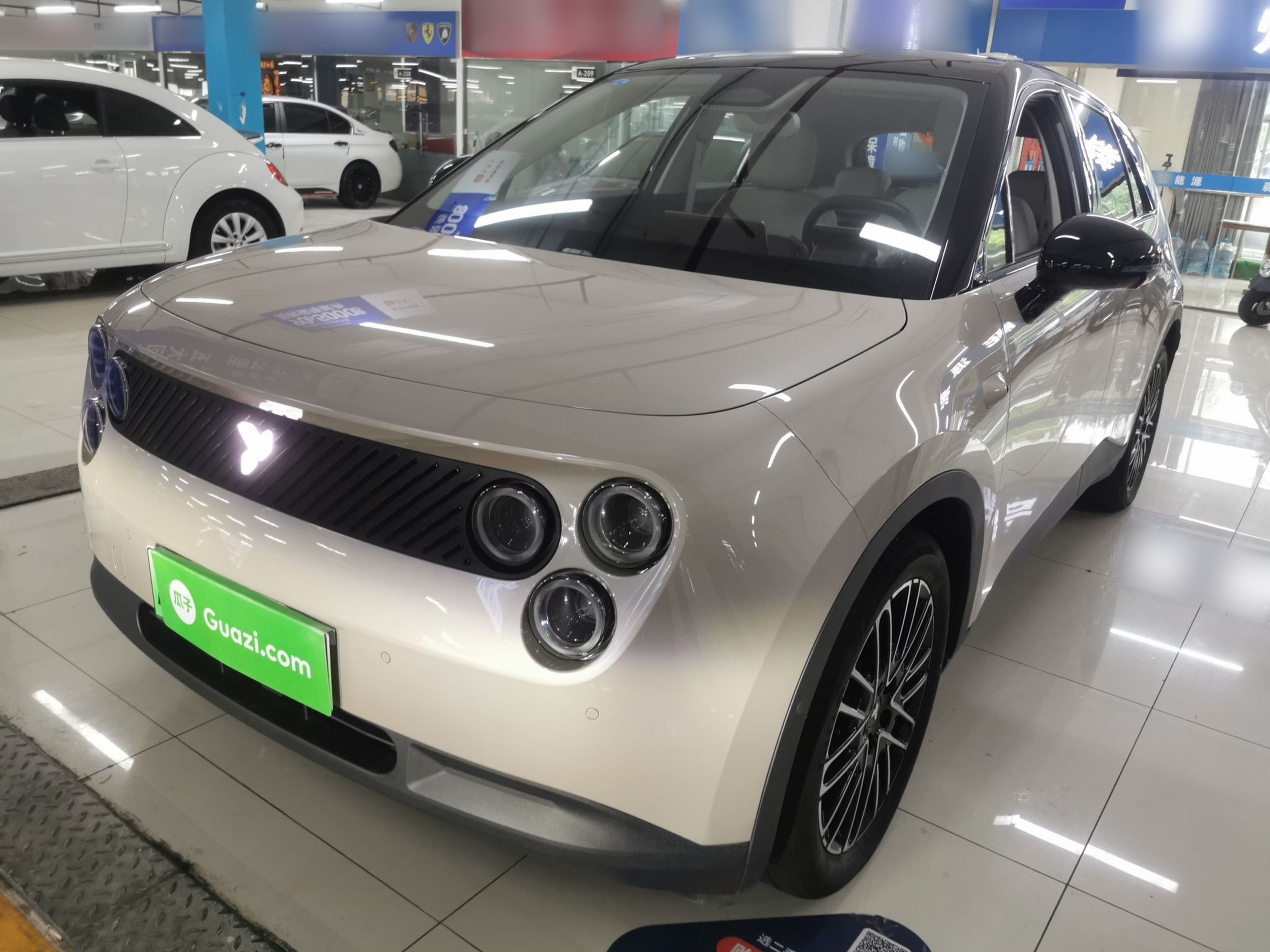 تحت مقدمة السيارة