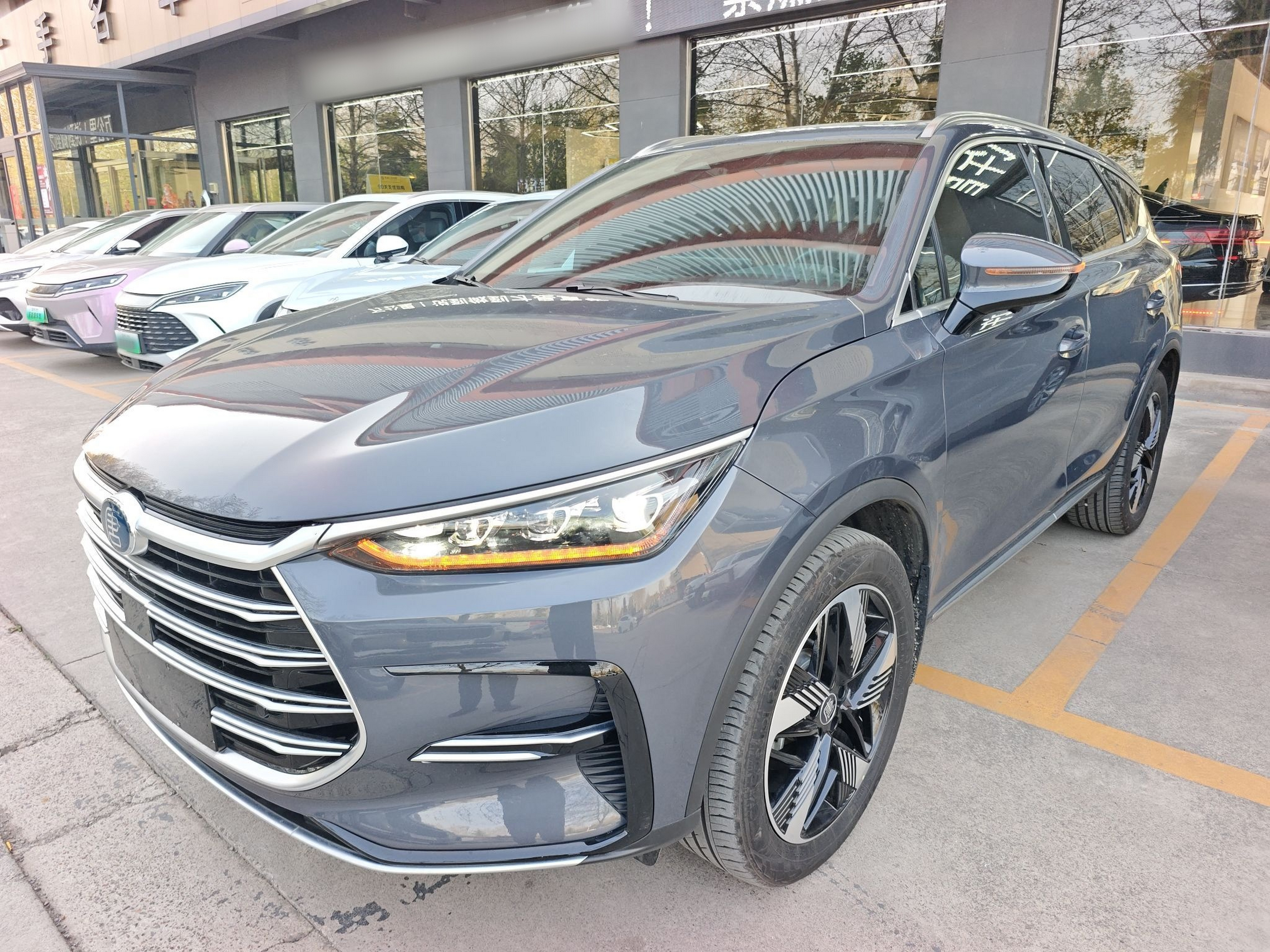 Parte inferior delantera