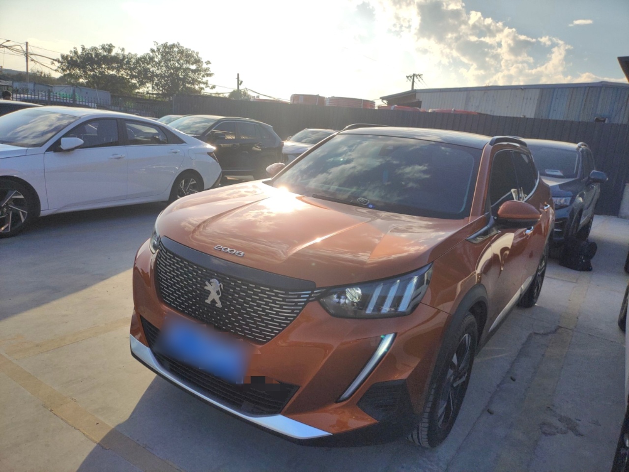 تحت مقدمة السيارة