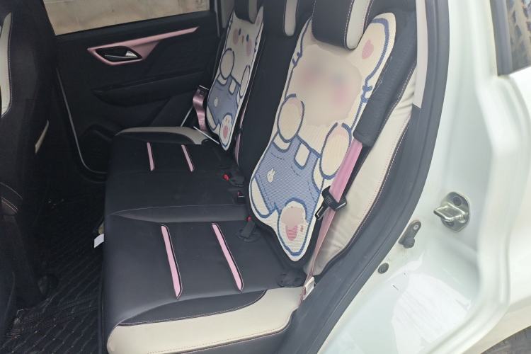 Used SOL E10X 2022 Flower Fairy Design Sunflower