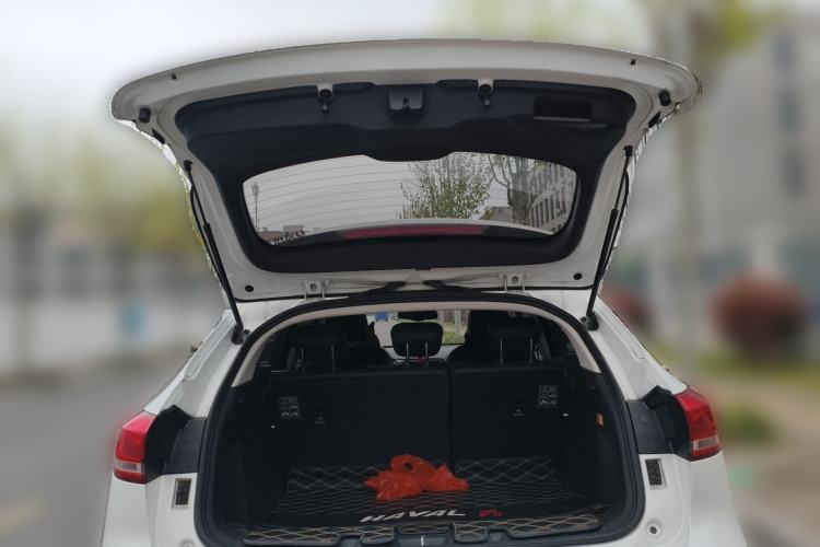 Used Haval F5 2018 1.5T i-Van Trunk