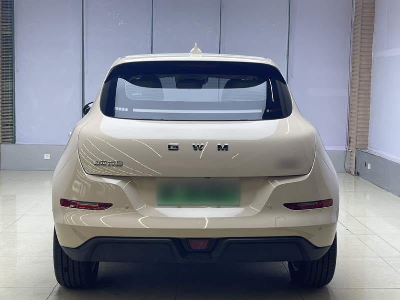 Used ORA Good Cat 2025 Model, 430 km Prestige Version — 30
