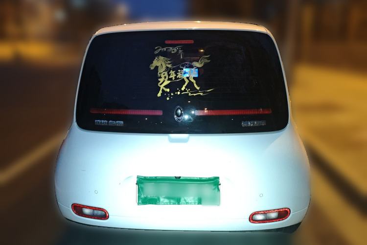 Used ORA White Cat 2020 305 km Luxury Version
