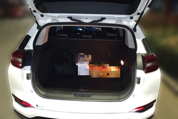 Used Hongqi E-HS3 2019 Zhilian Qiyue Two-Wheel Drive Version
