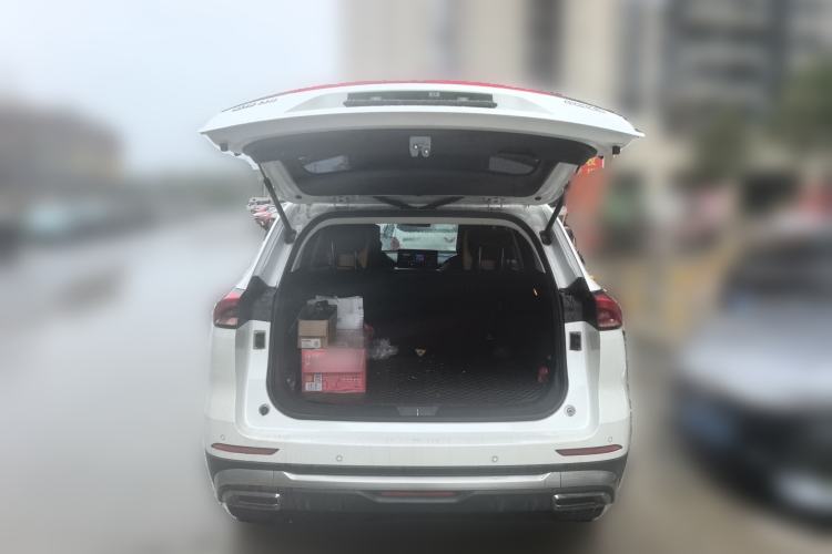 Used Haval H6 2021 National Trend Edition 1.5T Automatic Urban Version