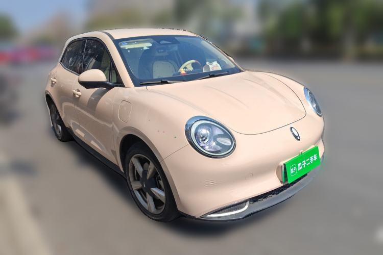 Used ORA Good Cat 2023 401 km Standard Range Luxury Version Lithium Iron Phosphate