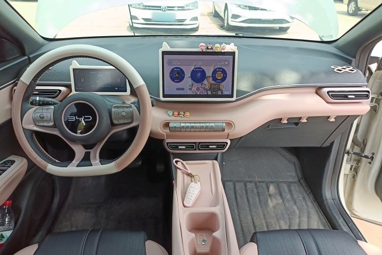 Used BYD Seagull 2025 305 km Free Version Center Console