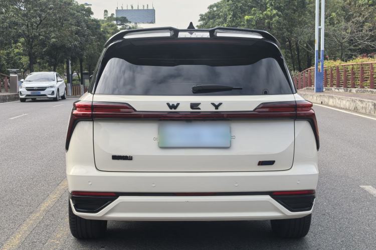Used Wey Lanshan 2023 Four-Wheel Drive Ultra-Long Range Version
