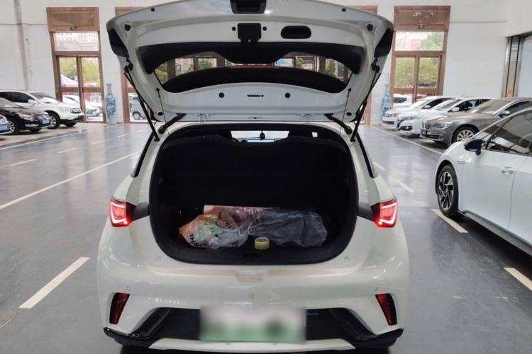 Used BYD Dolphin 2025 420km Free Edition