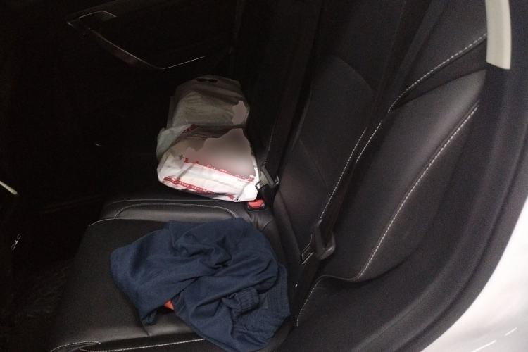 Used Geely Auto Emgrand X7 Sport 2020 1.8TD DCT ZhiZun PRO Left Rear Seat