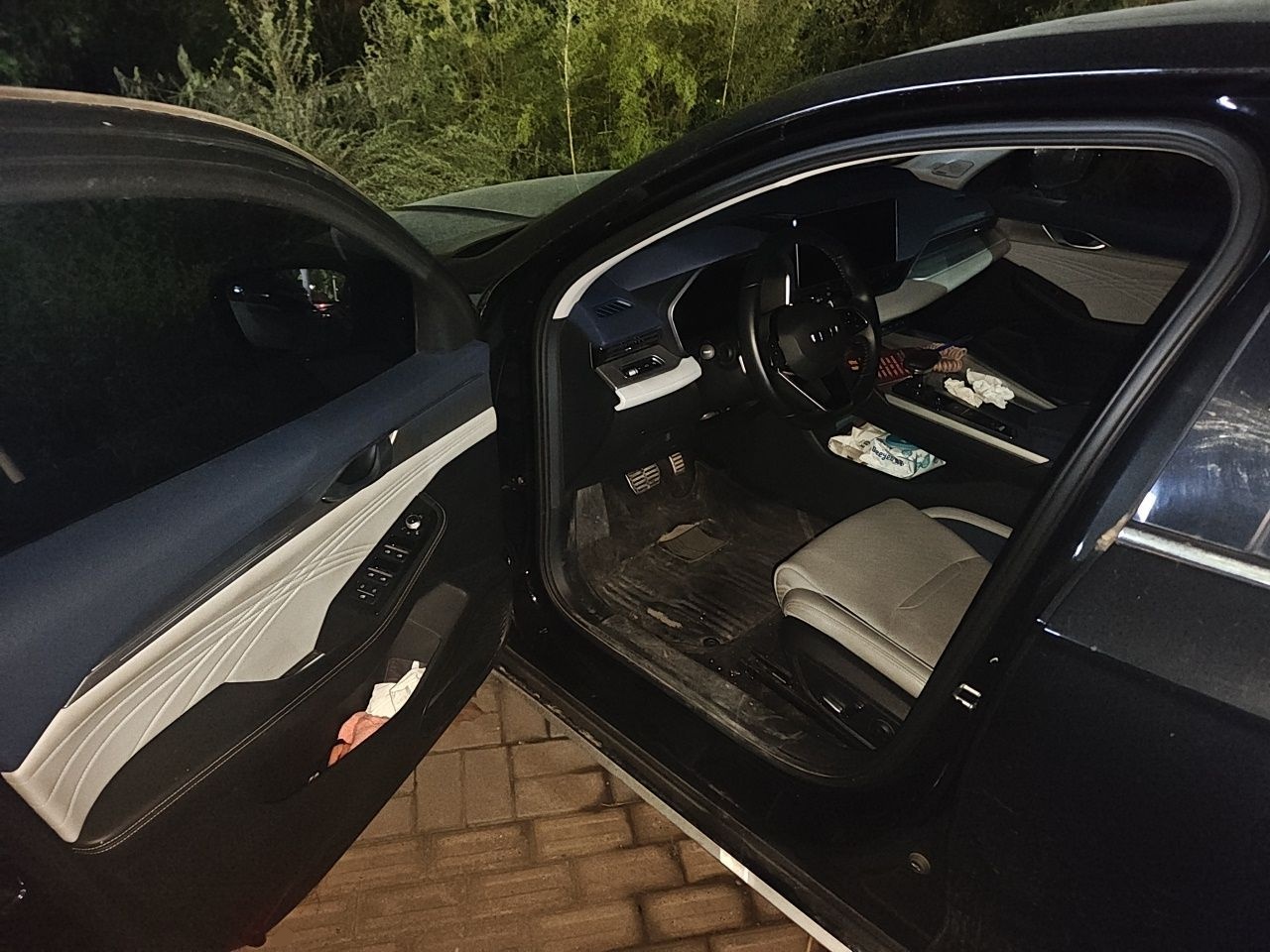 Geely Auto Preface 2023 2.0TD Prestige Version — снимка 16