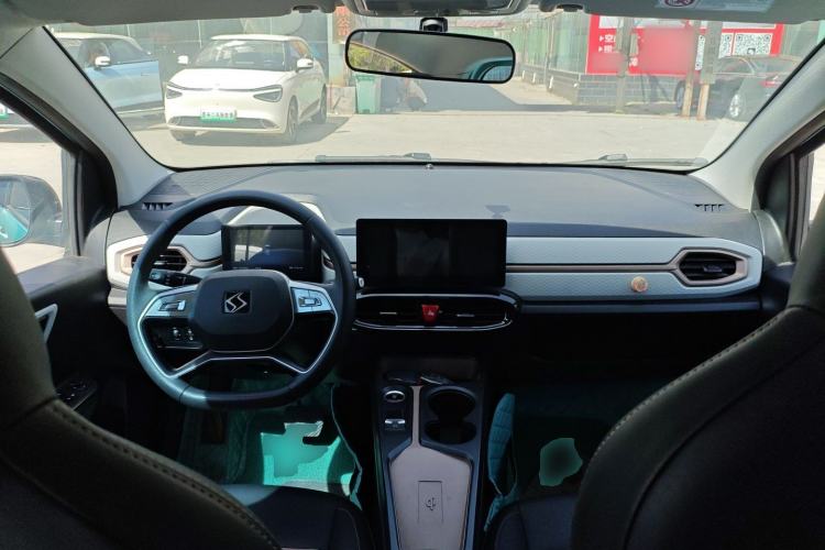 Used SOL E10X 2022 Flower Fairy Design Four-Leaf Clover
