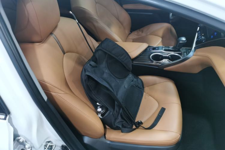 Used Toyota Camry 2019 Revised Version 2.0G Luxury Edition Right Front Seat