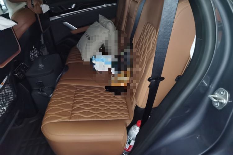 Used BYD Tang New Energy 2023 DM-i Champion Edition 112KM Prestige Model
