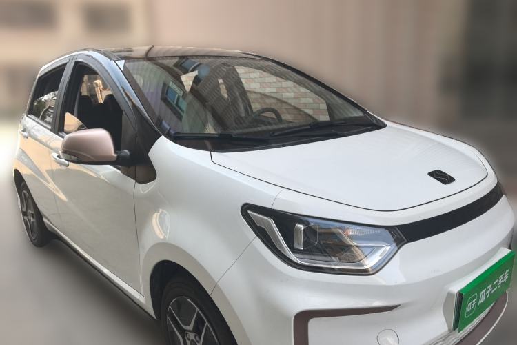 Used SOL E10X 2022 Flower Fairy Design Four-Leaf Clover Front Right 45 Deg