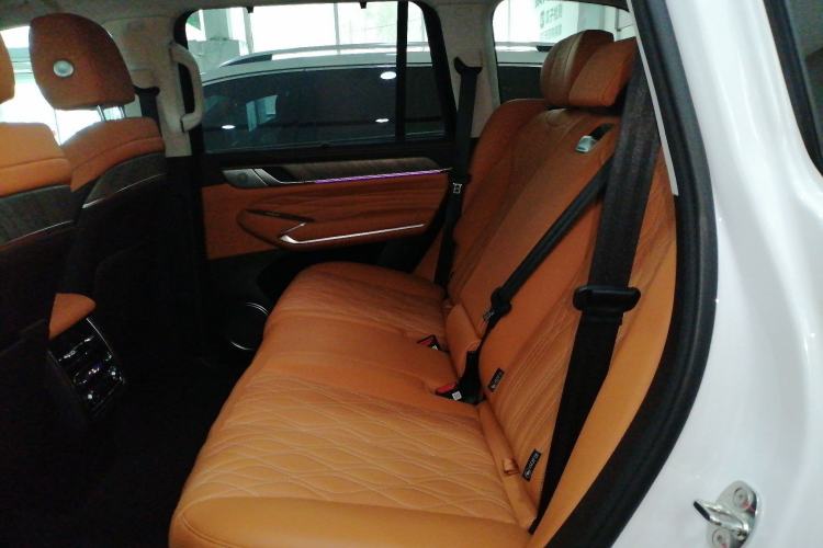 Used Tank 500 New Energy 2025 Hi4-Z Left Rear Seat