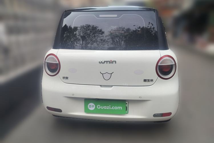 Used CHANGAN NEVO Lumin 2024 130km Qingyue Version Rear