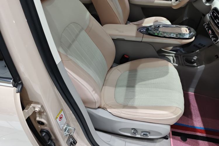 Used ORA Ballet Cat 2022 401 km Nutcracker Edition Right Front Seat