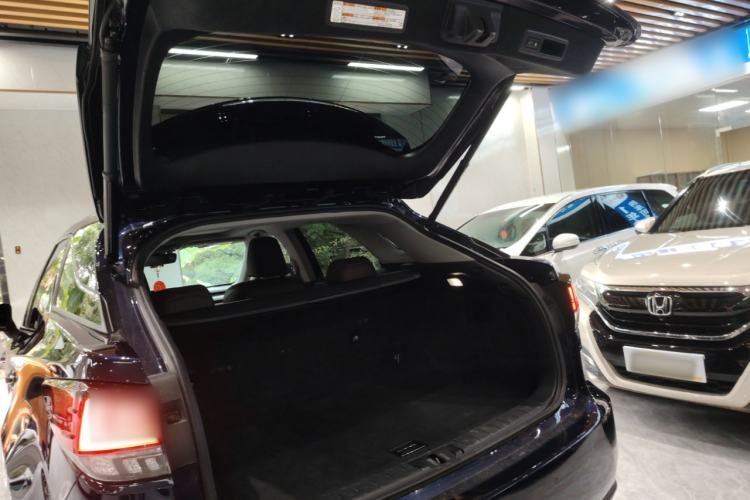 Used Lexus RX 2020 300 4x4 Elegant Edition China VI