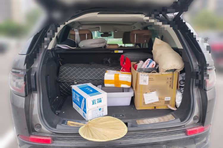 Used Land Rover Discovery Sport 2024 Luxury Custom Edition