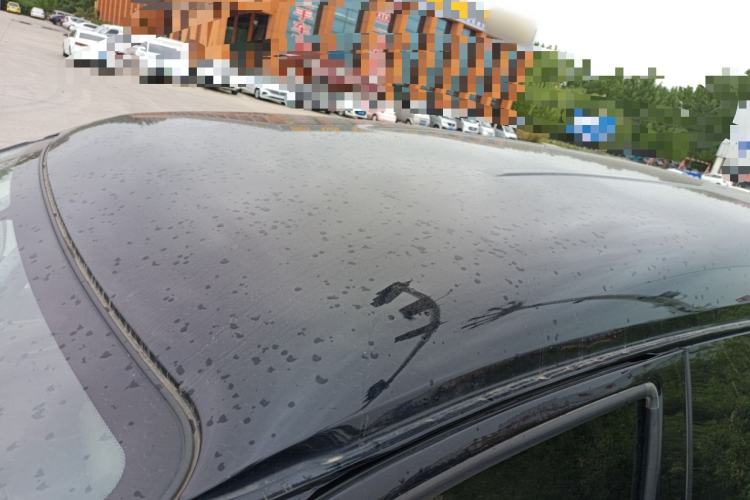 Used FORTHING Lingzhi 2020 M5L 2.0L Luxury 7-Seater