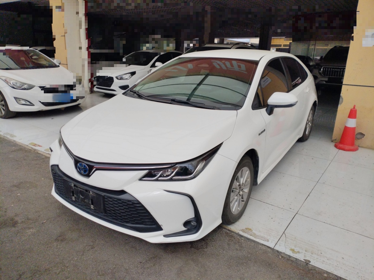 تحت مقدمة السيارة