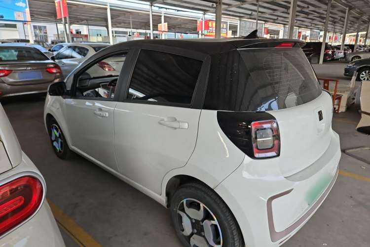 Used SOL E10X 2022 Flower Fairy Design Four-Leaf Clover