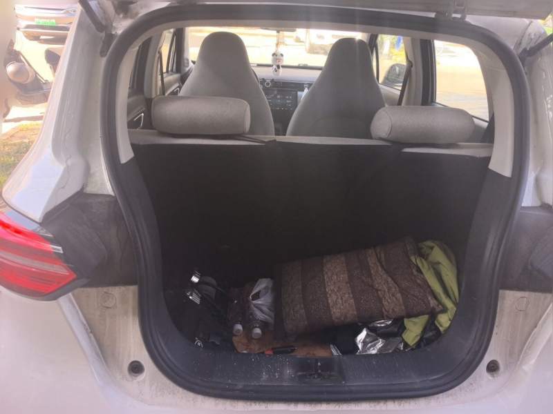 Used Leapmotor T03 2023 310 Lite Edition — 15