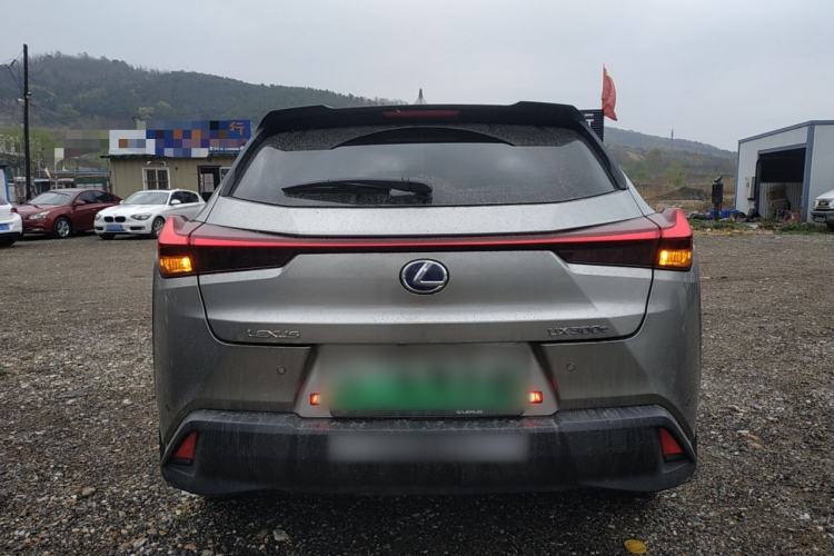 Used Lexus UX New Energy 2020 300e Pure·Joy Edition Rear