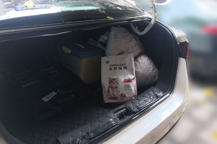 Used Nissan Sylphy 2020 1.6L XL CVT Enjoyment Edition Trunk