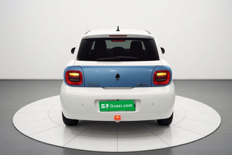 Used ORA Black Cat 2019 351 km Family Edition Rear