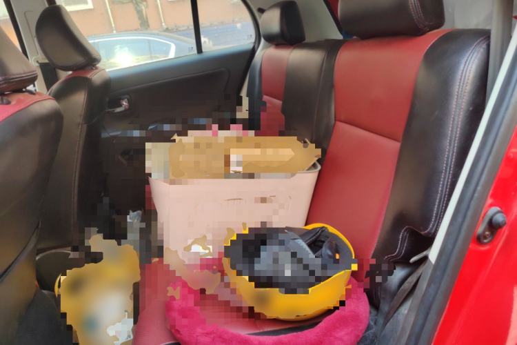 Used Great Wall C20R 2011 1.5L Manual Urban Version
